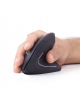 Gembird MUSW-ERGO-01 2.4GHz Wireless Optical Mouse, USB, Wireless connection, Black