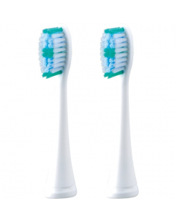 Panasonic Toothbrush replacement EW-DM81-G503 Heads, For adults, Number of brush heads included 2, White