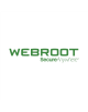 Webroot SecureAnywhere, Antivirus, 1 year(s), License quantity 1 user(s)