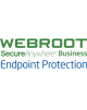 Webroot Business Endpoint Protection with GSM Console, Antivirus Business Edition, 1 year(s), License quantity 1-9 user(s)