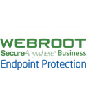 Webroot Business Endpoint Protection with GSM Console, Antivirus Business Edition, 2 year(s), License quantity 1-9 user(s)