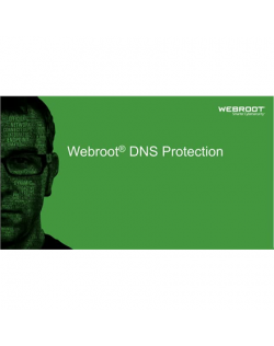 Webroot DNS Protection with GSM Console, 1 year(s), License quantity 1-9 user(s)