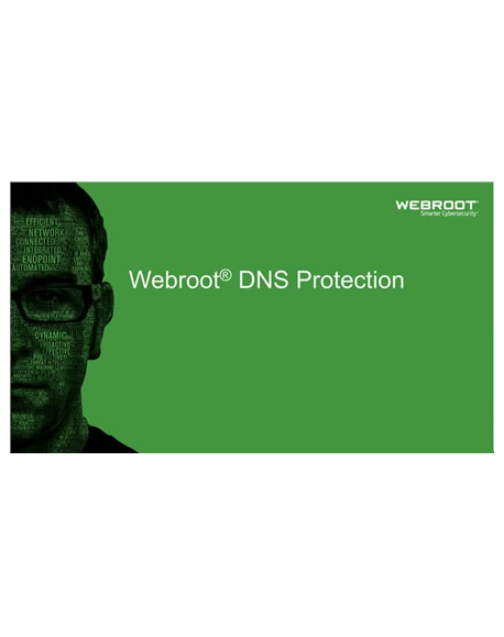 Webroot DNS Protection with GSM Console, 1 year(s), License quantity 1-9 user(s)