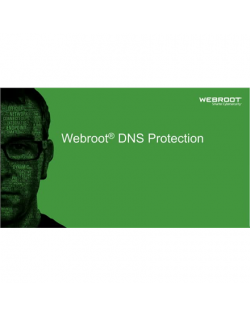 Webroot DNS Protection with GSM Console, 1 year(s), License quantity 10-99 user(s)