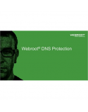 Webroot DNS Protection with GSM Console, 1 year(s), License quantity 10-99 user(s)
