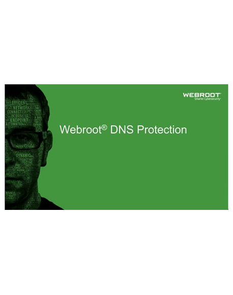 Webroot DNS Protection with GSM Console, 2 year(s), License quantity 1-9 user(s)