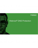 Webroot DNS Protection with GSM Console, 2 year(s), License quantity 1-9 user(s)