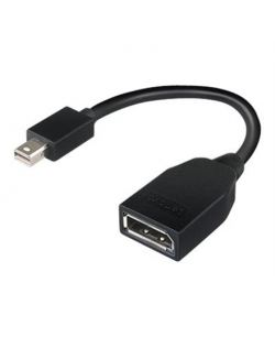 Lenovo Mini-DisplayPort to DisplayPort Adapter