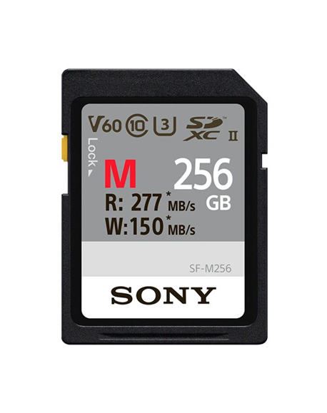 Atminties kortelė Sony SDXC Professional 256GB Class 10 UHS-II