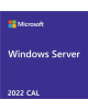 Microsoft R18-06466 Windows Server CAL 2022 English 1pk DSP OEI 5 Clt User CAL
