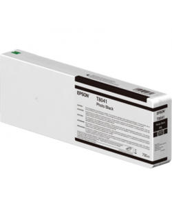 Epson T804100 Ink Cartridge, Black