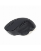 Gembird Wireless Optical mouse MUSW-6B-02 USB, Black