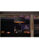 SUNRED Heater ARTIX C-HB, Compact Bright Hanging Infrared, 1500 W, Black